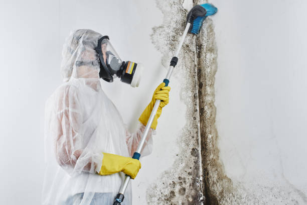 Crawl Space Mold Removal in Weeping Water, NE