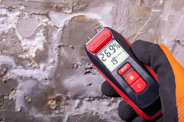 Best Commercial Mold Removal  in Weeping Water, NE
